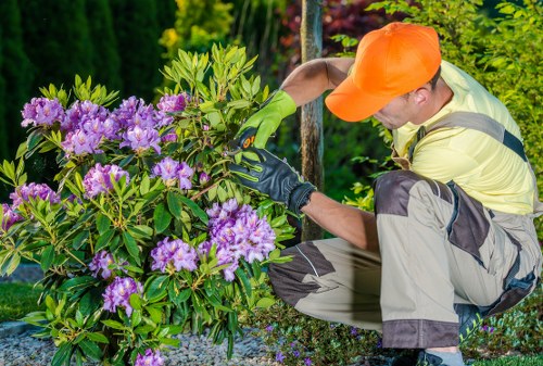 Professional garden clearance services in Hackney