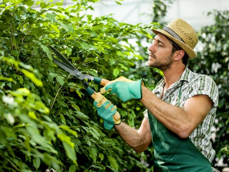 Professional lawn care service in action in Hackney