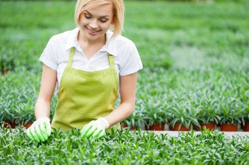 Healthy trimmed hedges enhancing garden aesthetics